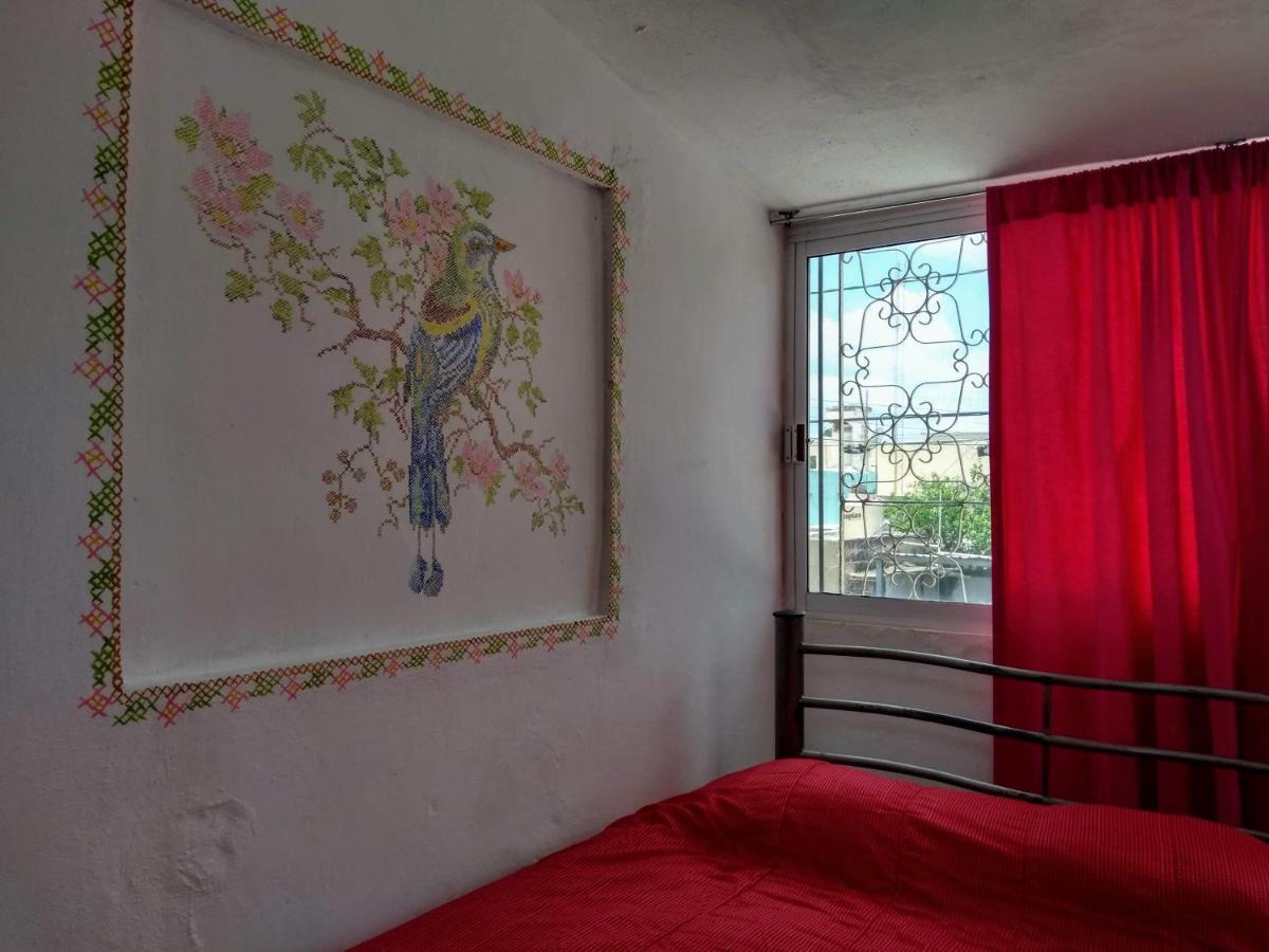 Casa Mestiza Apartment Мерида Екстериор снимка